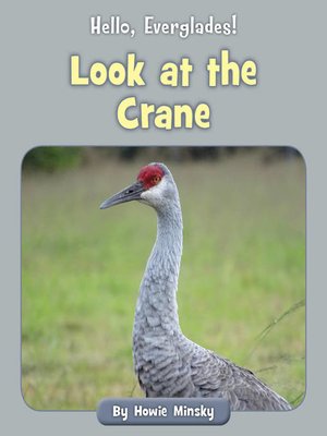 cover image of Look at the Crane